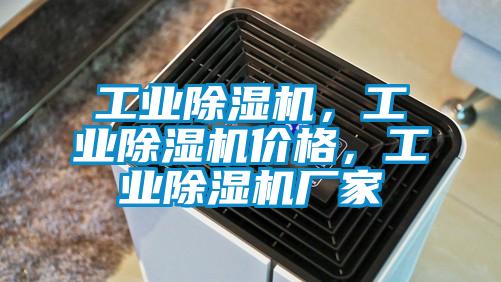 工業(yè)除濕機，工業(yè)除濕機價格，工業(yè)除濕機廠家