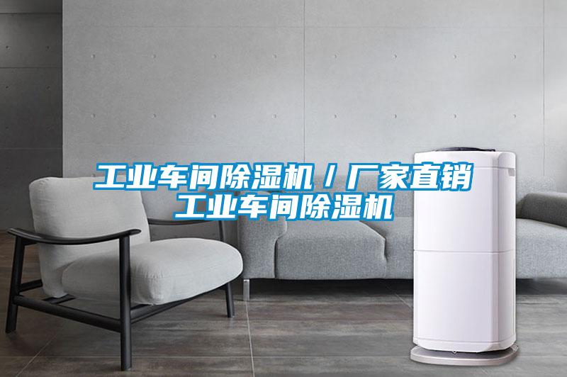 工業(yè)車(chē)間除濕機(jī)／廠(chǎng)家直銷(xiāo)工業(yè)車(chē)間除濕機(jī)