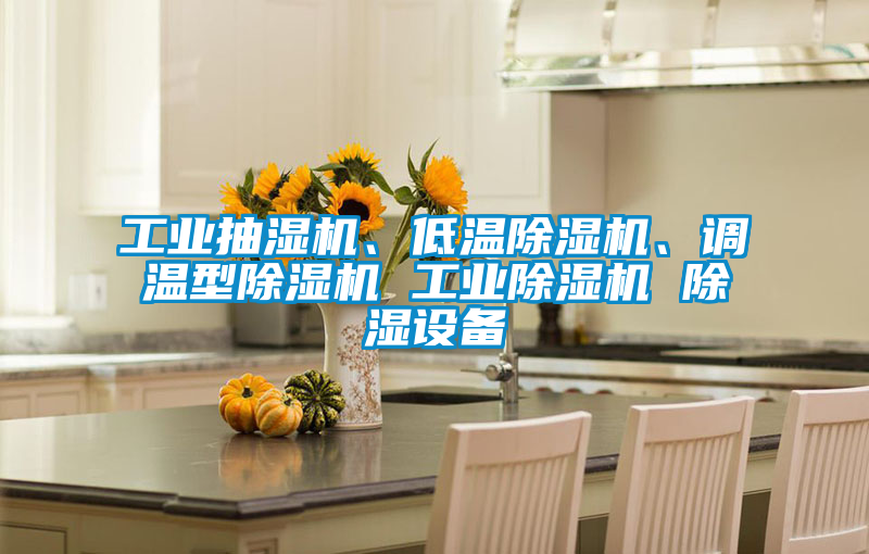 工業(yè)抽濕機(jī)、低溫除濕機(jī)、調(diào)溫型除濕機(jī) 工業(yè)除濕機(jī) 除濕設(shè)備