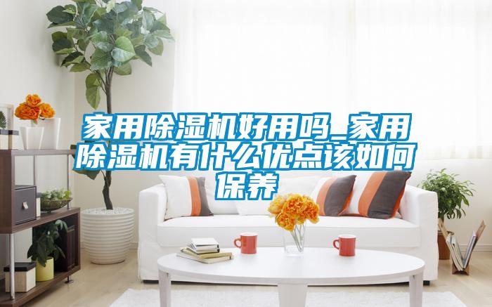 家用除濕機好用嗎_家用除濕機有什么優點該如何保養