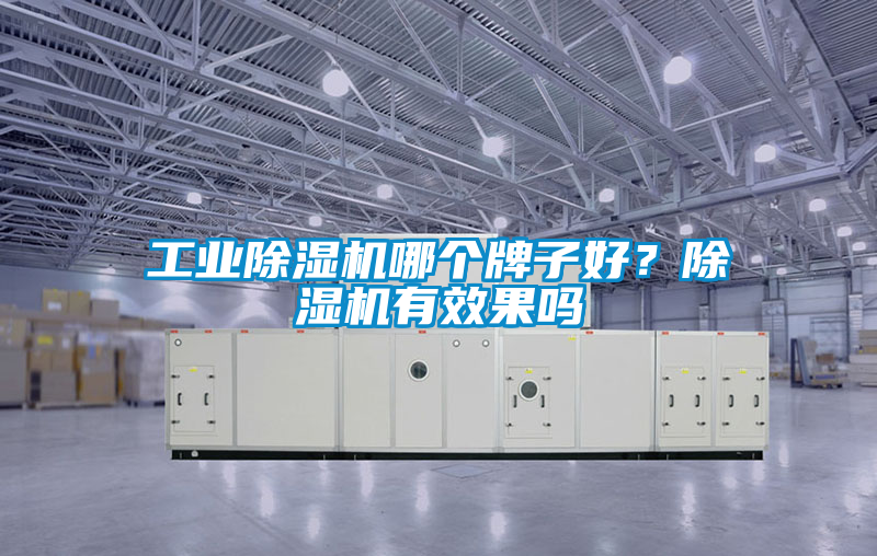 工業(yè)除濕機哪個牌子好？除濕機有效果嗎