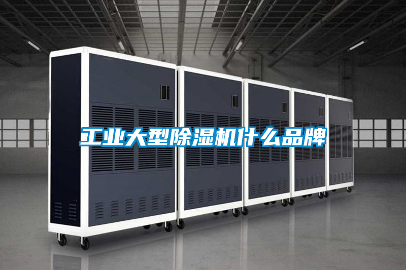 工業大型除濕機什么品牌