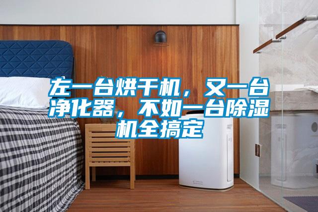 左一臺烘干機，又一臺凈化器，不如一臺除濕機全搞定