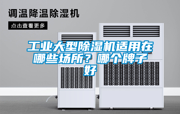 工業大型除濕機適用在哪些場所？哪個牌子好