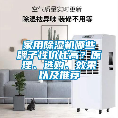 家用除濕機(jī)哪些牌子性價(jià)比高？原理、選購(gòu)、效果以及推薦