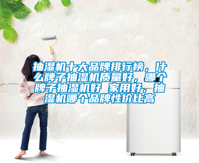 抽濕機十大品牌排行榜，什么牌子抽濕機質量好，哪個牌子抽濕機好 家用好，抽濕機哪個品牌性價比高