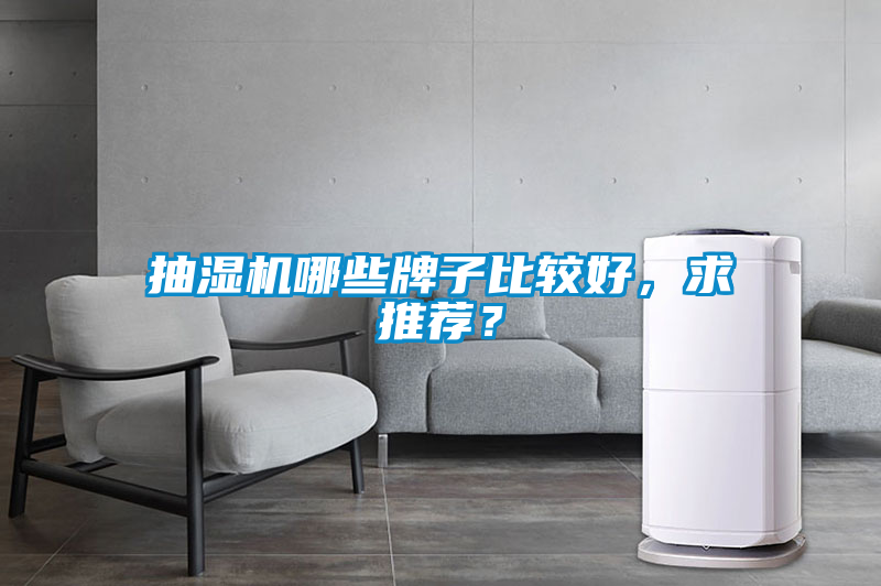 抽濕機哪些牌子比較好，求推薦？