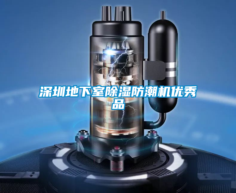 深圳地下室除濕防潮機優秀品