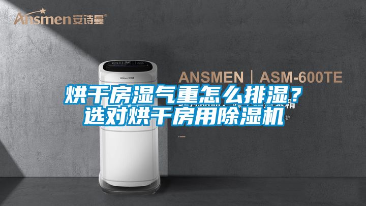 烘干房濕氣重怎么排濕？選對烘干房用除濕機