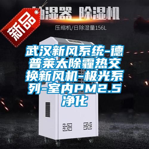 武漢新風系統(tǒng)-德普萊太除霾熱交換新風機-極光系列-室內(nèi)PM2.5凈化
