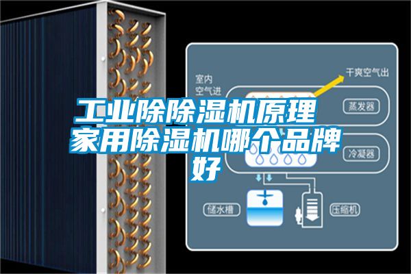 工業除除濕機原理 家用除濕機哪個品牌好