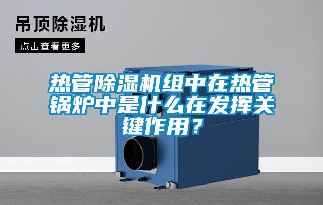 熱管除濕機組中在熱管鍋爐中是什么在發揮關鍵作用？