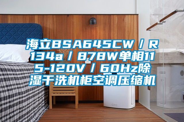 海立BSA645CW/R134a/878W單相115-120V/60Hz除濕干洗機柜空調(diào)壓縮機