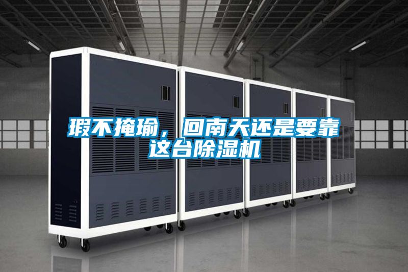 瑕不掩瑜，回南天還是要靠這臺除濕機