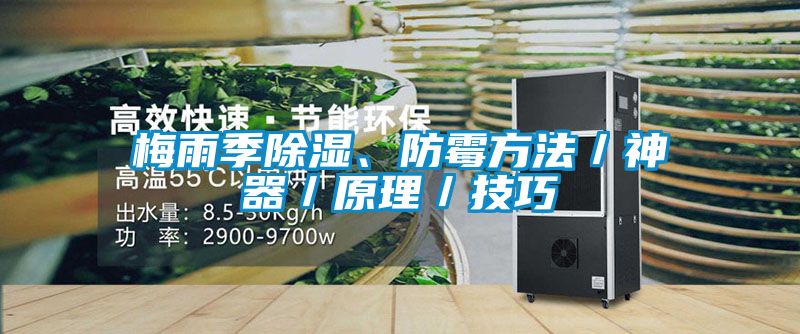 梅雨季除濕、防霉方法／神器／原理／技巧