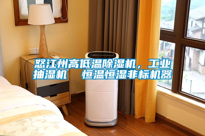 怒江州高低溫除濕機，工業抽濕機  恒溫恒濕非標機器