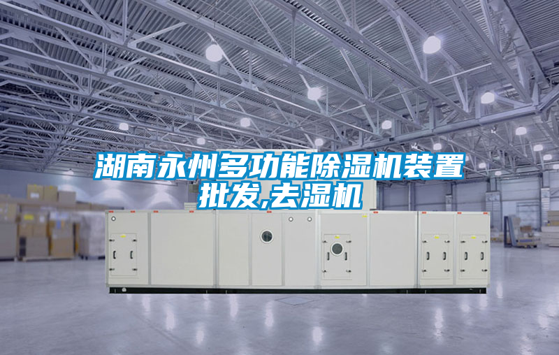 湖南永州多功能除濕機裝置批發,去濕機