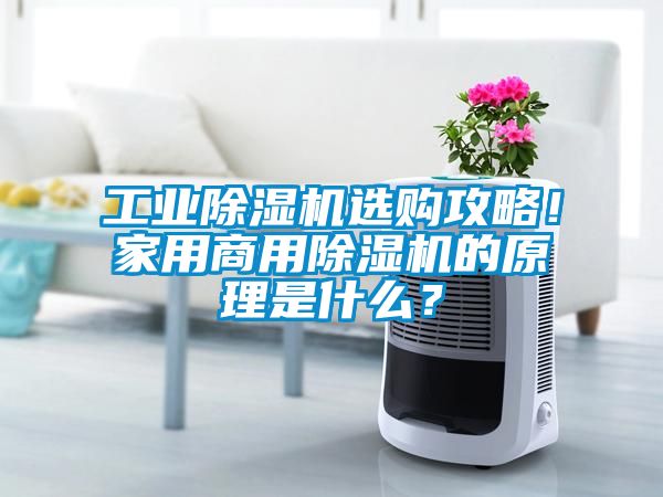 工業除濕機選購攻略！家用商用除濕機的原理是什么？