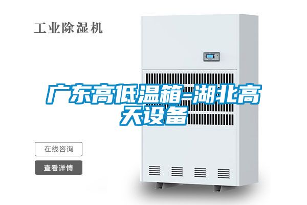 廣東高低溫箱-湖北高天設備