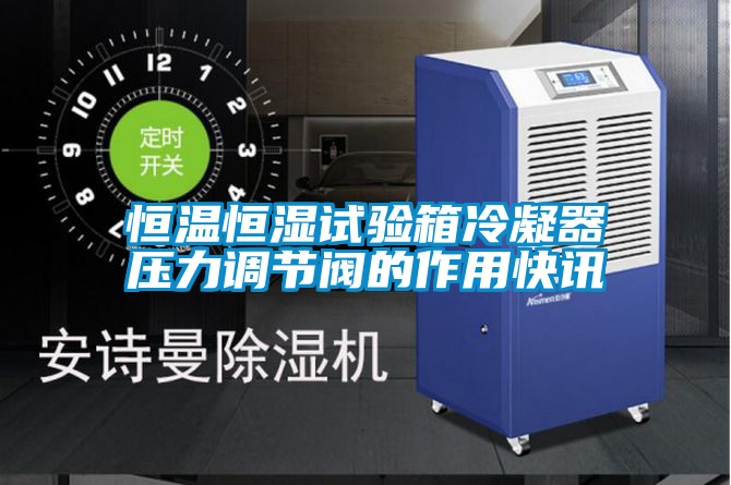 恒溫恒濕試驗箱冷凝器壓力調(diào)節(jié)閥的作用快訊