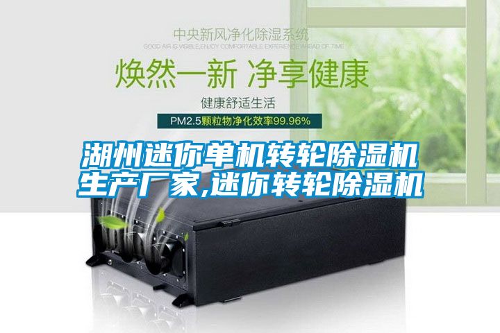 湖州迷你單機轉輪除濕機生產廠家,迷你轉輪除濕機