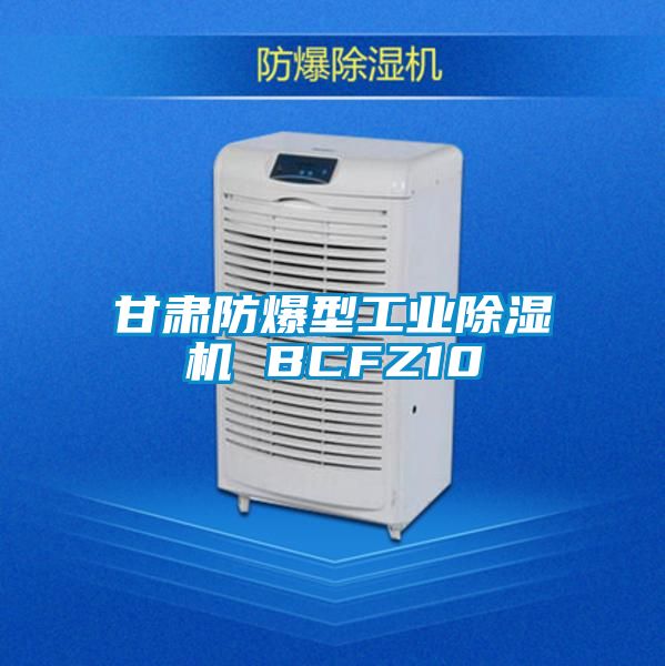 甘肅防爆型工業除濕機 BCFZ10