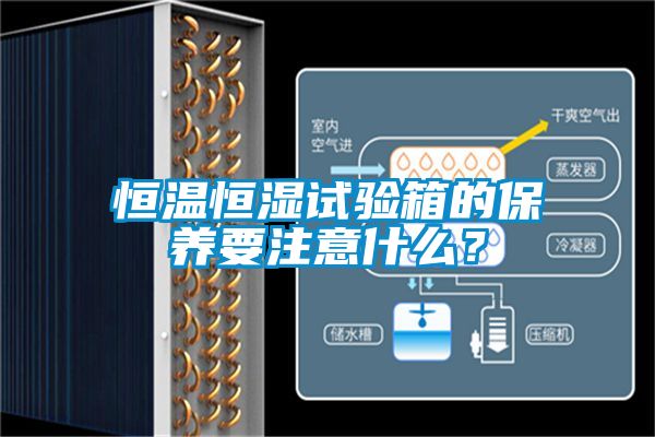 恒溫恒濕試驗箱的保養(yǎng)要注意什么？