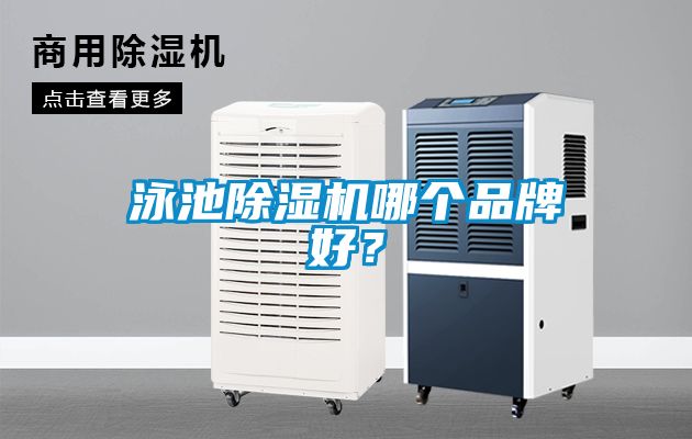 泳池除濕機哪個品牌好？