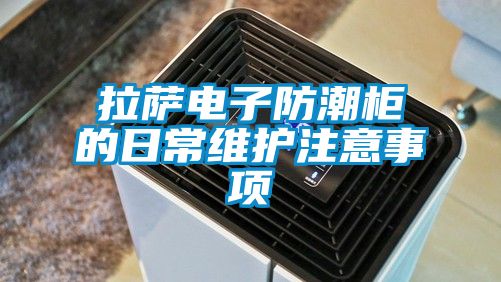 拉薩電子防潮柜的日常維護(hù)注意事項