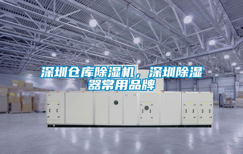 深圳倉庫除濕機，深圳除濕器常用品牌