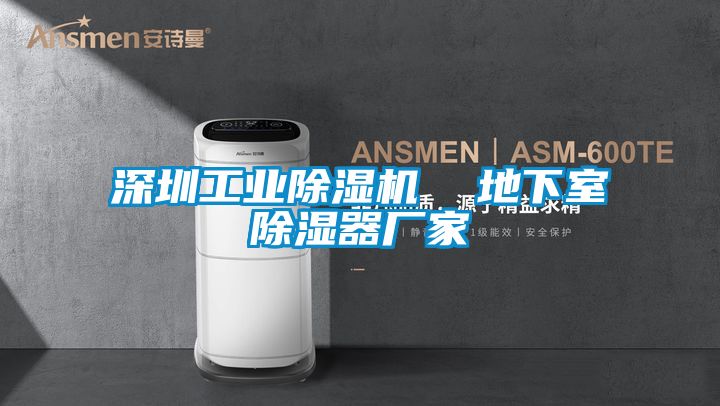 深圳工業(yè)除濕機  地下室除濕器廠家