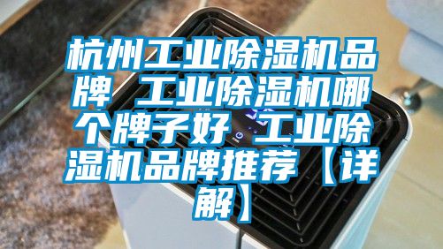 杭州工業(yè)除濕機(jī)品牌 工業(yè)除濕機(jī)哪個(gè)牌子好 工業(yè)除濕機(jī)品牌推薦【詳解】