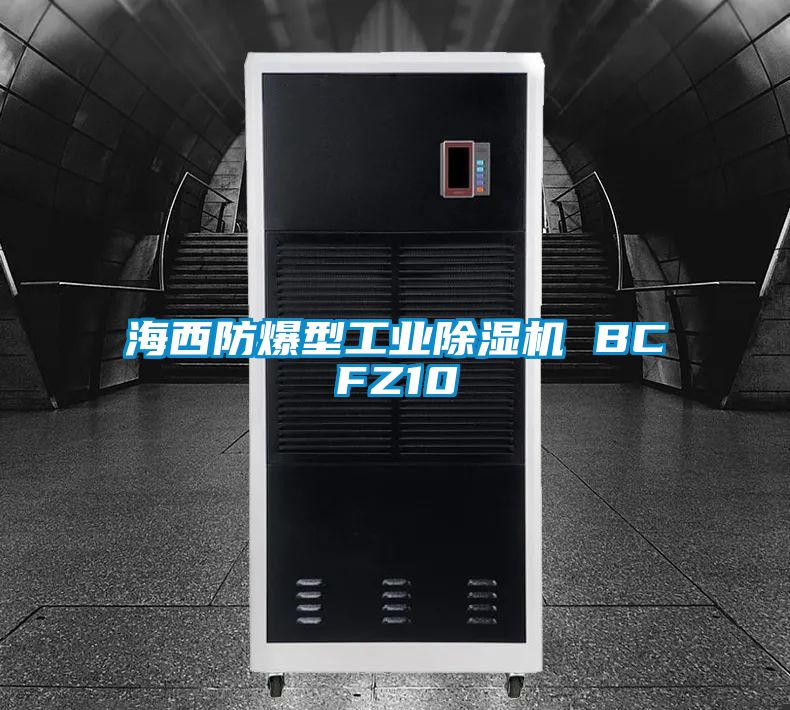 海西防爆型工業除濕機 BCFZ10