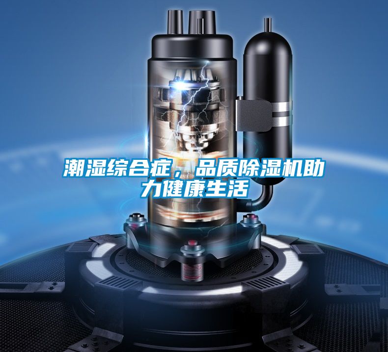 潮濕綜合癥，品質(zhì)除濕機助力健康生活