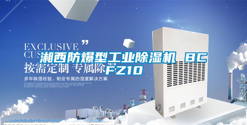 湘西防爆型工業除濕機 BCFZ10