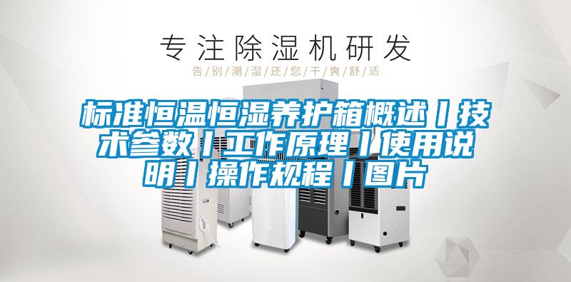標準恒溫恒濕養護箱概述丨技術參數丨工作原理丨使用說明丨操作規程丨圖片