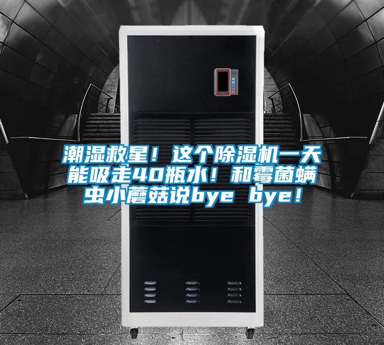 潮濕救星！這個除濕機一天能吸走40瓶水！和霉菌螨蟲小蘑菇說bye bye！