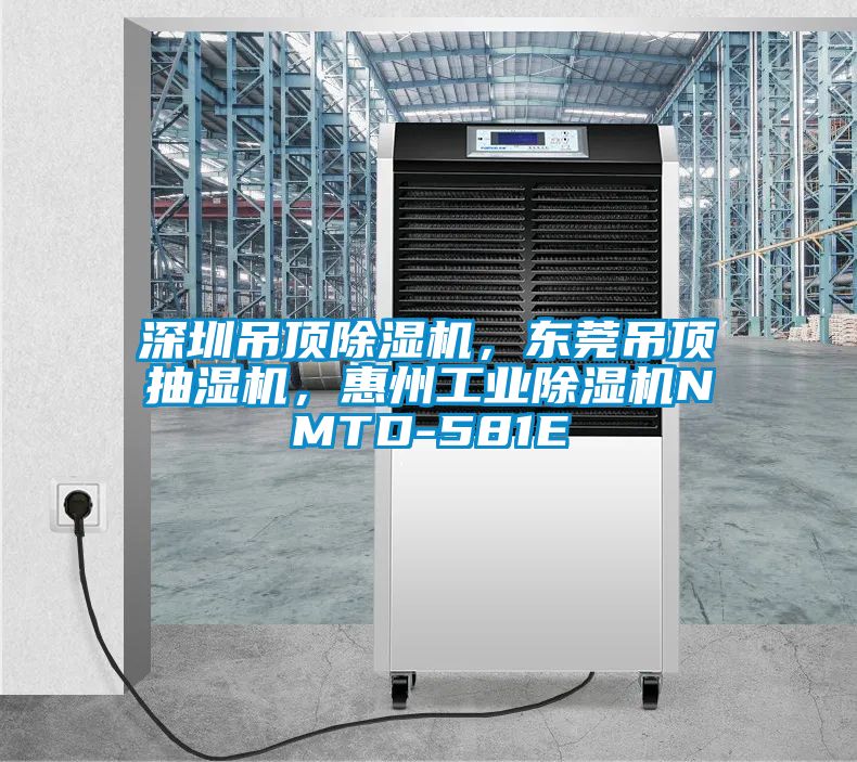 深圳吊頂除濕機，東莞吊頂抽濕機，惠州工業除濕機NMTD-581E