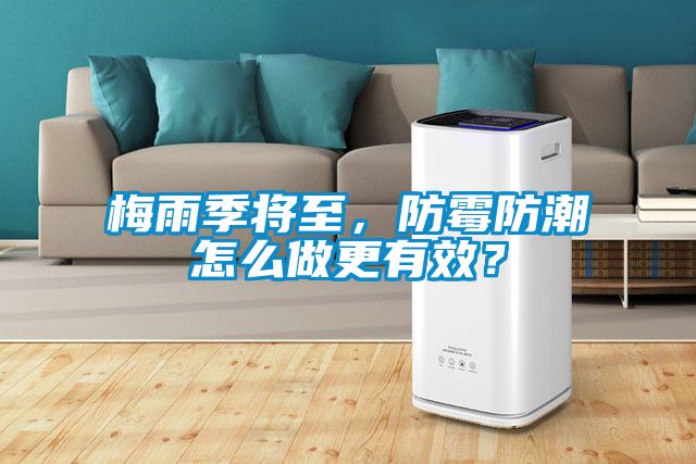 梅雨季將至，防霉防潮怎么做更有效？