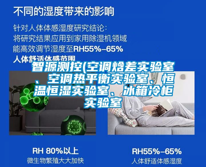 智源測控(空調焓差實驗室、空調熱平衡實驗室、恒溫恒濕實驗室、冰箱冷柜實驗室