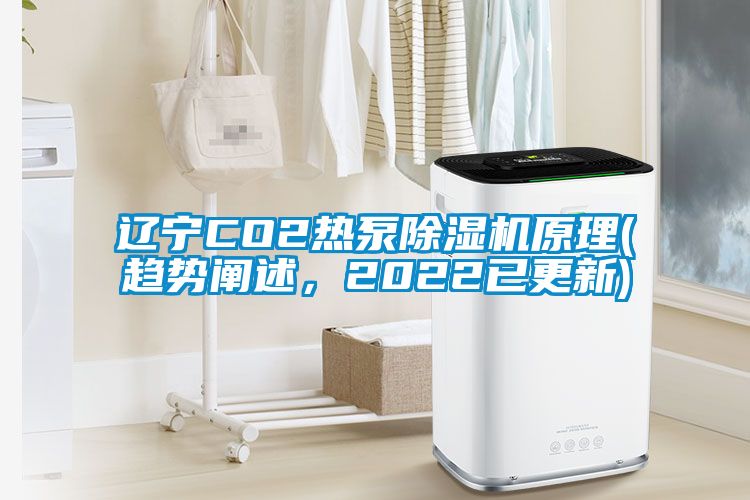 遼寧CO2熱泵除濕機(jī)原理(趨勢(shì)闡述，2022已更新)