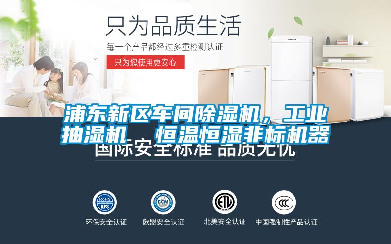 浦東新區車間除濕機，工業抽濕機  恒溫恒濕非標機器