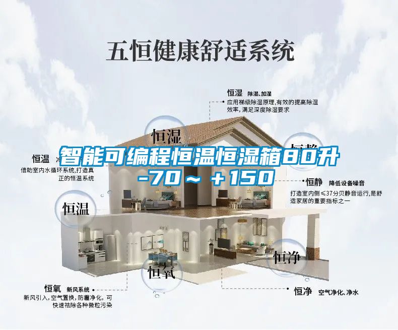 智能可編程恒溫恒濕箱80升 -70～＋150℃