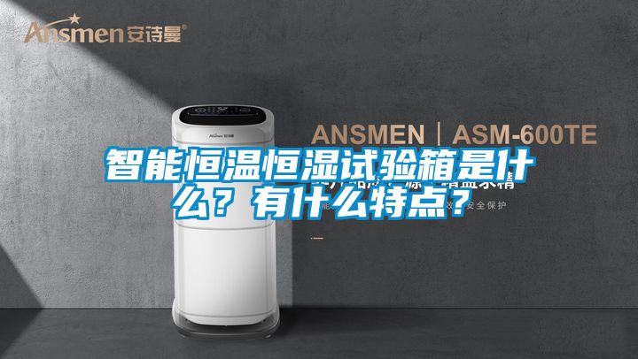 智能恒溫恒濕試驗(yàn)箱是什么？有什么特點(diǎn)？