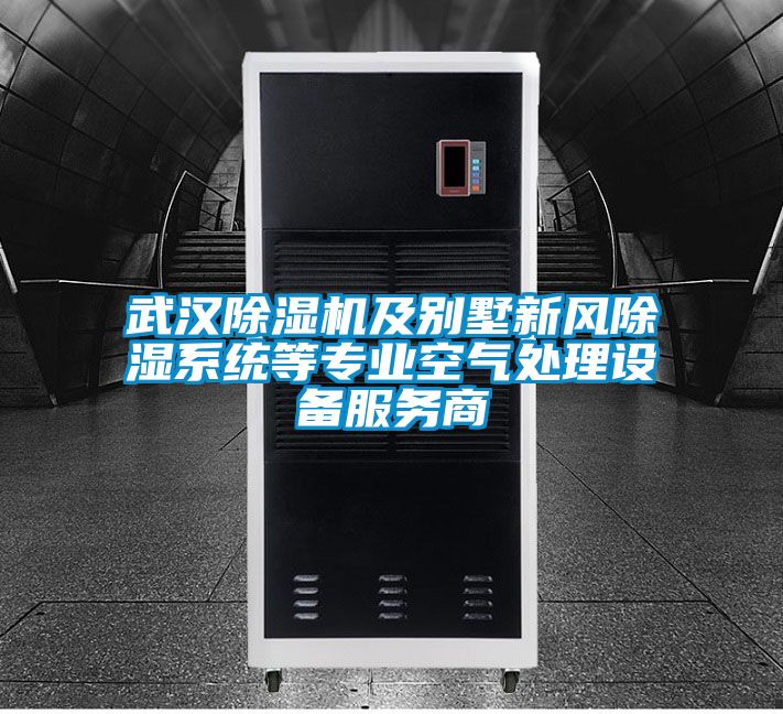 武漢除濕機及別墅新風除濕系統等專業空氣處理設備服務商