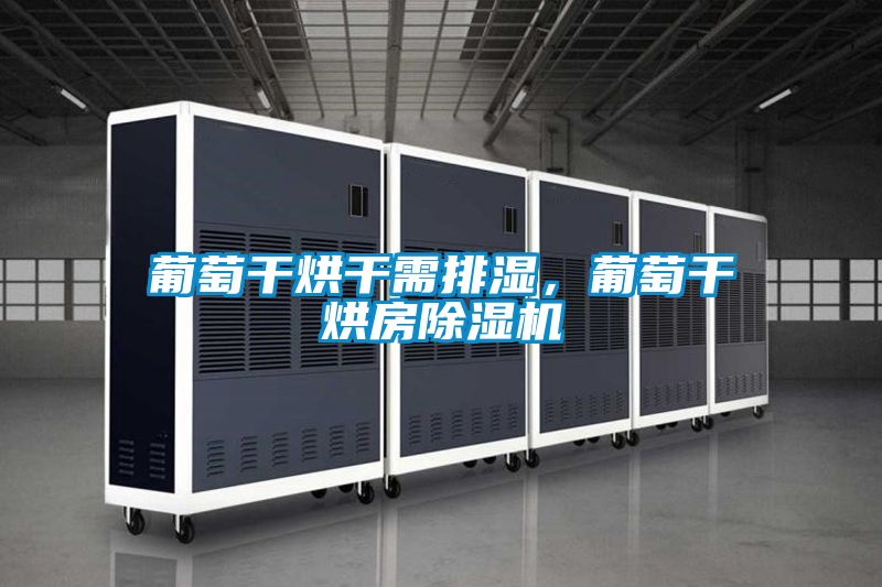 葡萄干烘干需排濕，葡萄干烘房除濕機