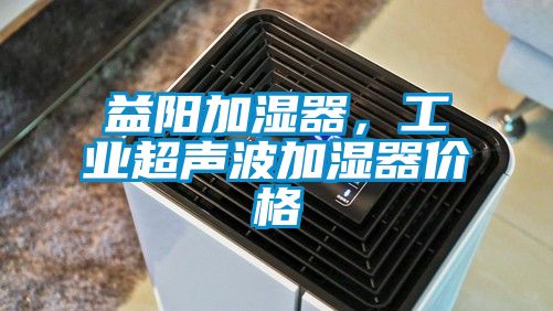 益陽加濕器，工業(yè)超聲波加濕器價格