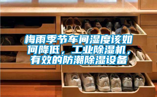 梅雨季節車間濕度該如何降低，工業除濕機，有效的防潮除濕設備
