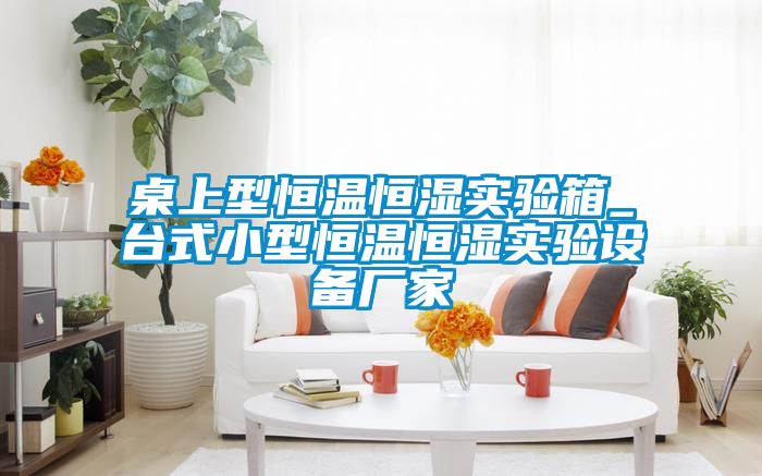 桌上型恒溫恒濕實驗箱_臺式小型恒溫恒濕實驗設備廠家