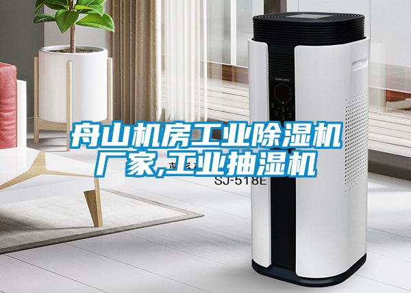 舟山機房工業(yè)除濕機廠家,工業(yè)抽濕機